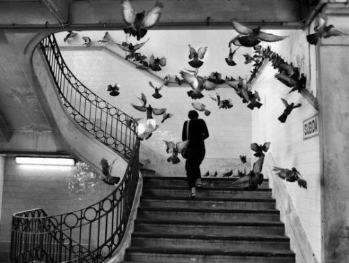 photo-reactive:Mercado do Bolhão, Porto by Henri Cartier-Bresson