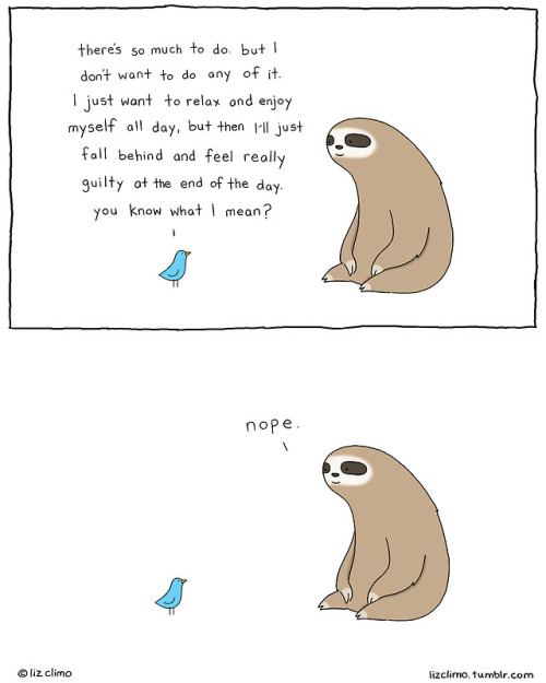 lizclimo:Are you the bird or the sloth? 