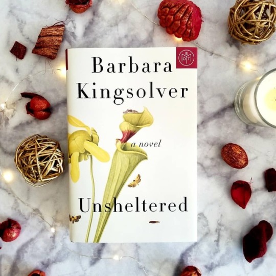 unsheltered barbara kingsolver review