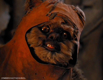 Image result for wicket ewok gif