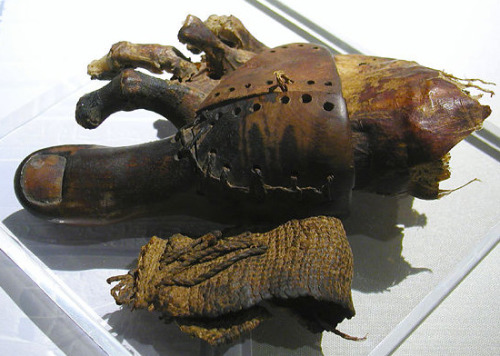 science history medical history anatomy prosthesis biology egypt ancient egypt egyptology medicine