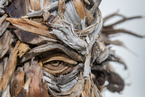 itscolossal:Gnarled Eyes and Knotted Ears Emerge from...