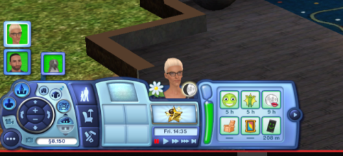 Ani's Sims