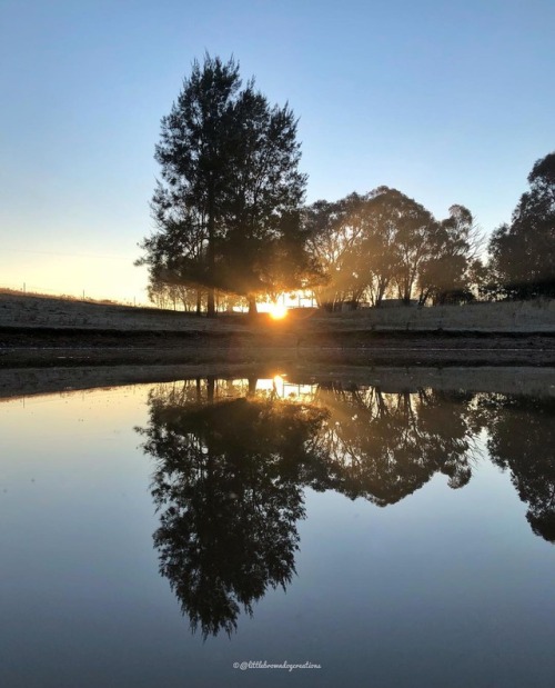 Looking across our poddy paddock dam at sunrise, now not frozen,...