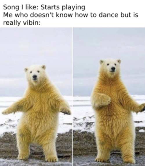 the dancing bear | Tumblr