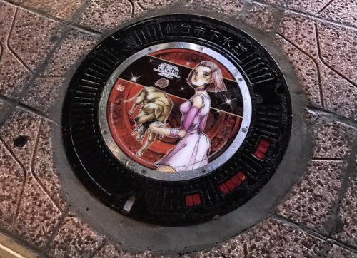 highdio:Photos of those Jojo manhole covers in Sendai at...