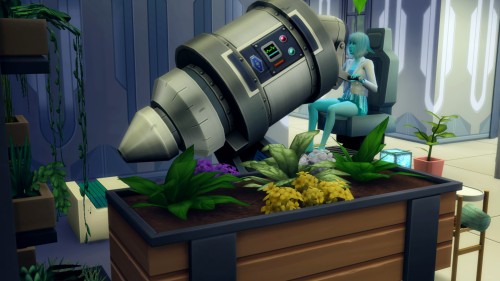 divinesimmers