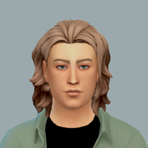 zolliesims