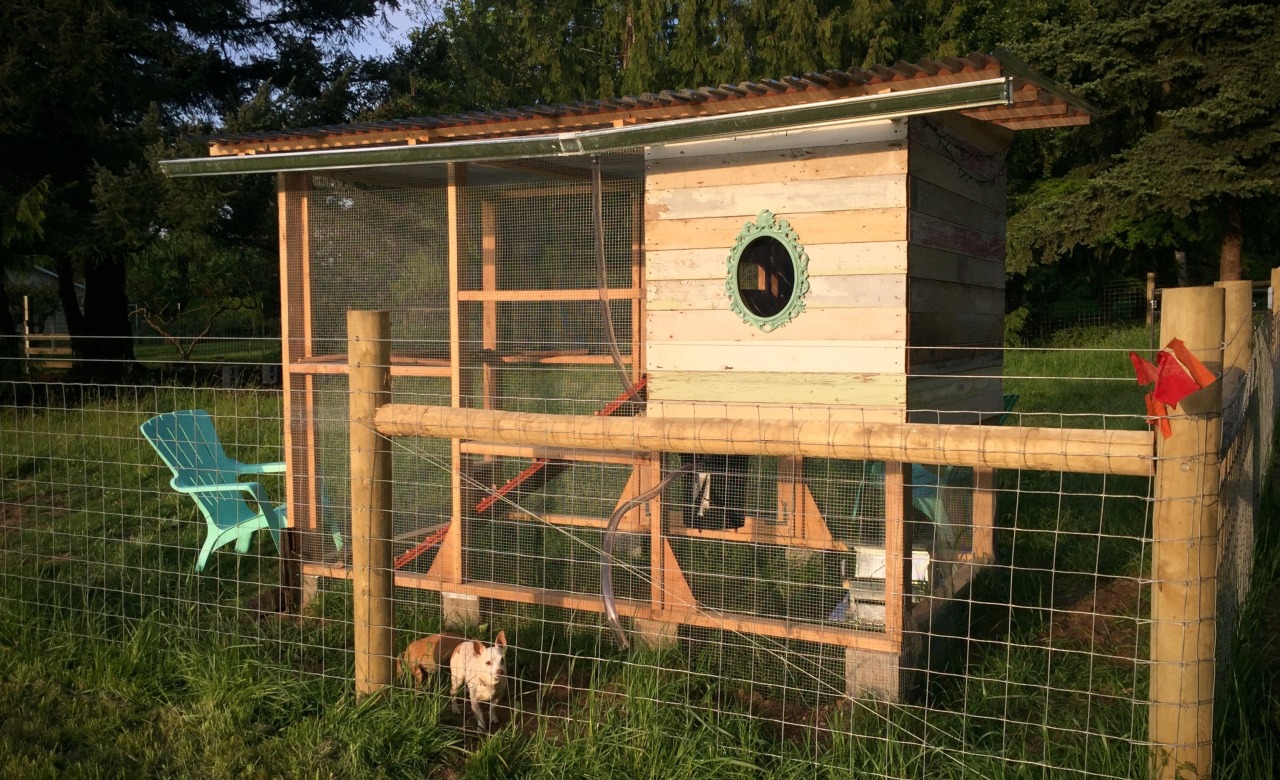 The Milk Barn Farm Garden Coop Mods The Chicken Coop We Built Was