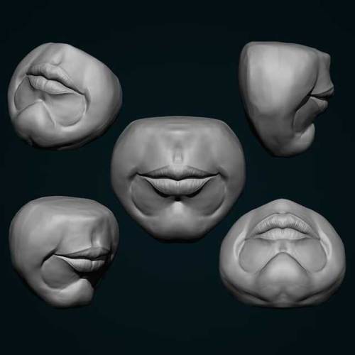 Lips study finished for today. Tomorrow is a holliday in south...