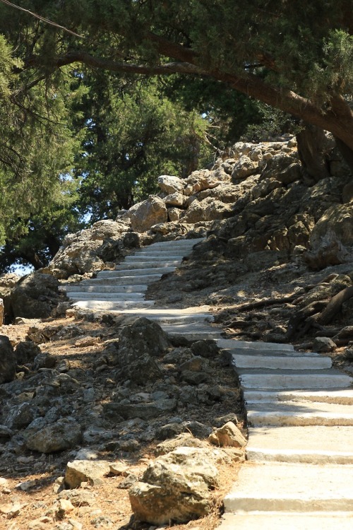 photographers on tumblr original photographers snake view steps stair white uphill stone rocks