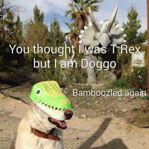 doggo T. rex dinosaur crocodile reptile reptillian illuminati montage parody YouTube filthy frank h3h3 idubbbz tana mongeau drama cute dog cat pets aww tricked bamboozled memes dank memes cancer shitpost trash