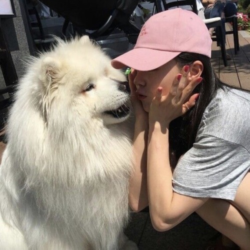 ulzzang ulzzangs ulzzang icons ulzzang fashion ulzzang girl icons south korea korea korean fashion korean icons pets cat dog