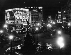 Designer | Curator | Brother - Piccadilly Circus at night ...