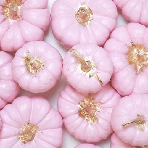 pastelog:Pink Halloween mood board -Pastel