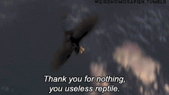Thank you for nothing, you useless reptile.