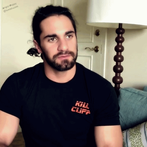 CHRISTMAS PROMPTS Mistletoe kisses with Seth Rollins Chapter 1
