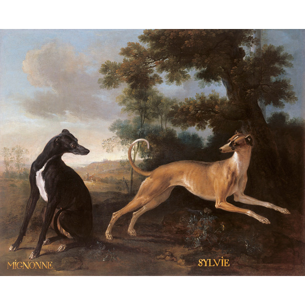 Museum Dogs