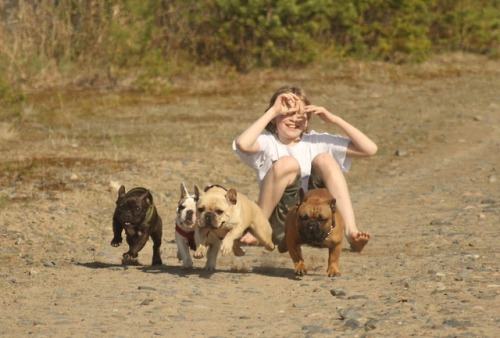 frenchbulldoge:Frenchie race!!!