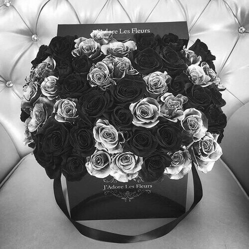 black and white roses on Tumblr