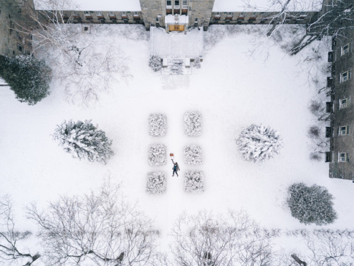 archatlas:Symmetric Top-Down Photographs by Martin Reisch...