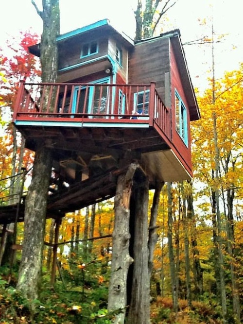 utwo:Tiny Treehouse In the Forest© mpora.com