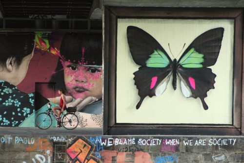 thedesigndome:Mural Artist Who Portrays Butterfly Specimen Box...