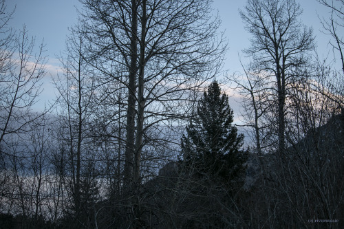 riverwindphotography