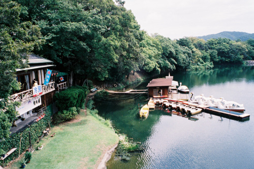 caulifl0wer:岡山後楽園 Okayama, japan (by ray chan)