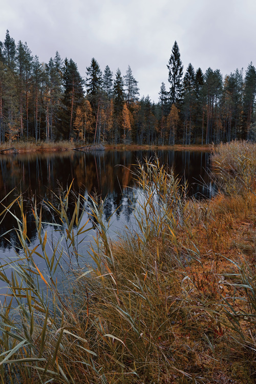 Longing.Savonlinna, Finland (X).