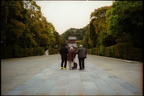 shinnoguchiphotography