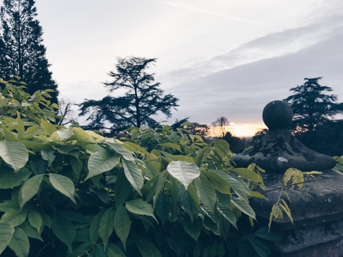 travels-ofadreamer:Wintery sunsets, Tyntesfield