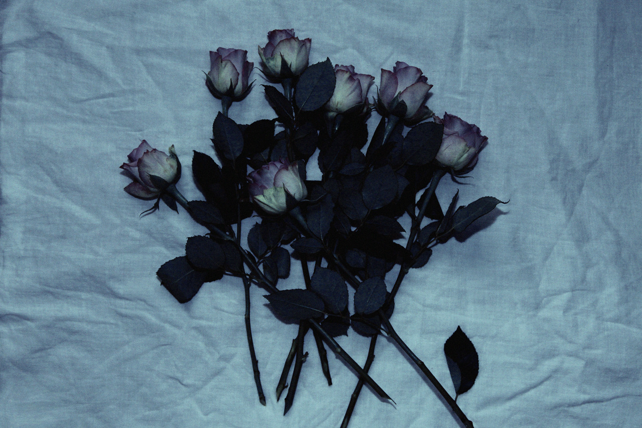 Чёрные цветы Эстетика