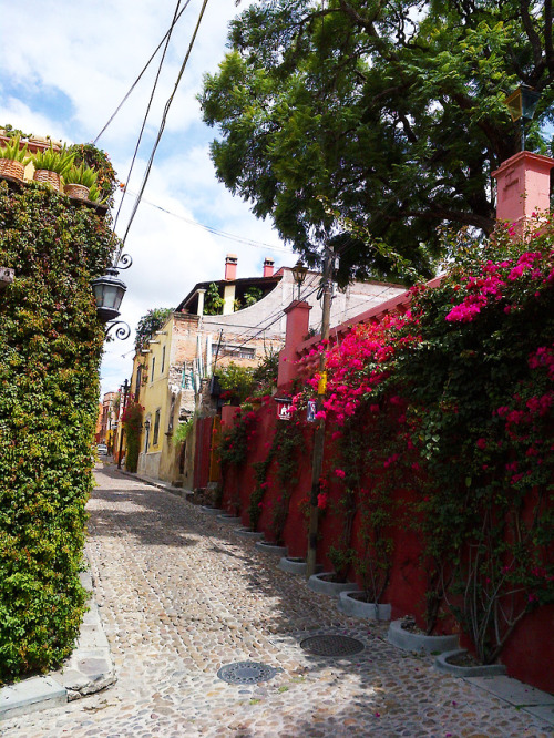 tepitome:San Miguel de Allende, 2018.