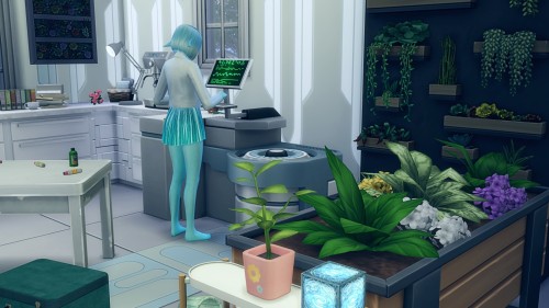 divinesimmers