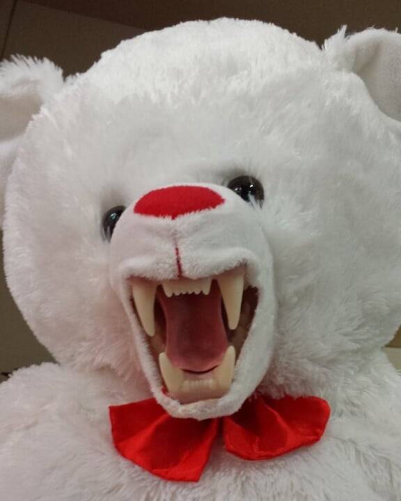 creepy teddy bear with teeth