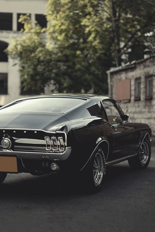 artoftheautomobile:‘67 Ford Mustang Fastbackvia Oskar Kosinski