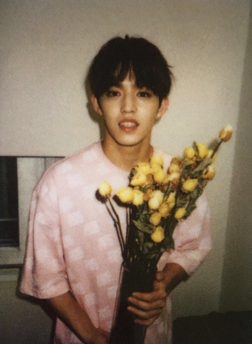 btscult:svt boyfriend series: coups