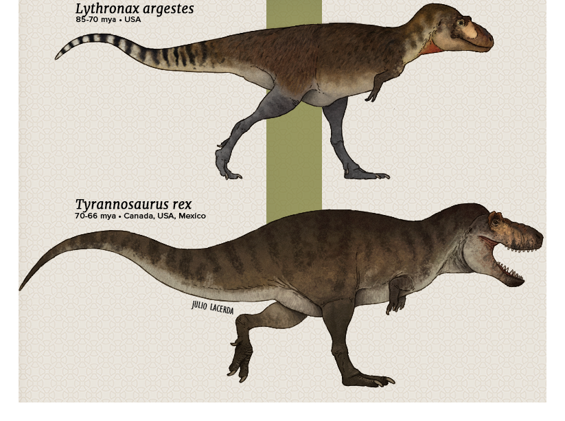 t rex accurate