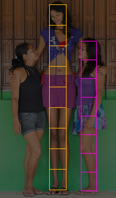 Human Anatomy Reference Drawing Short Tall People