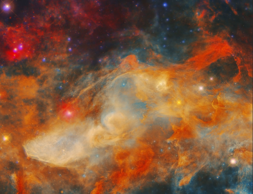 the-wolf-and-moon:Horsehead Nebula in Infrared