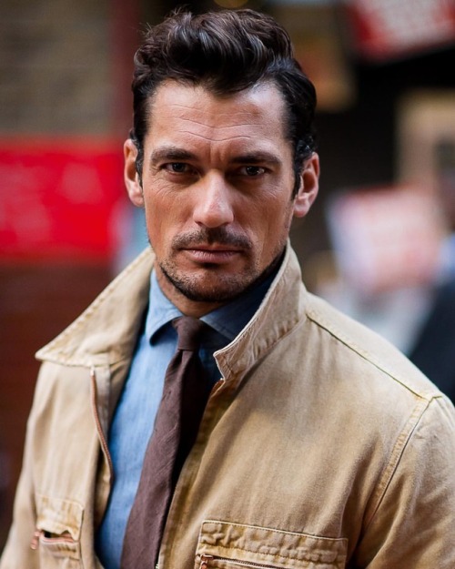 davidgandy on Tumblr