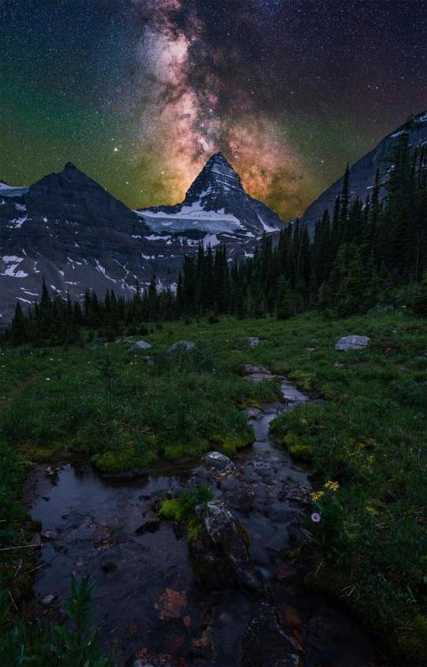 amazinglybeautifulphotography:The milky way over the huge Mt....