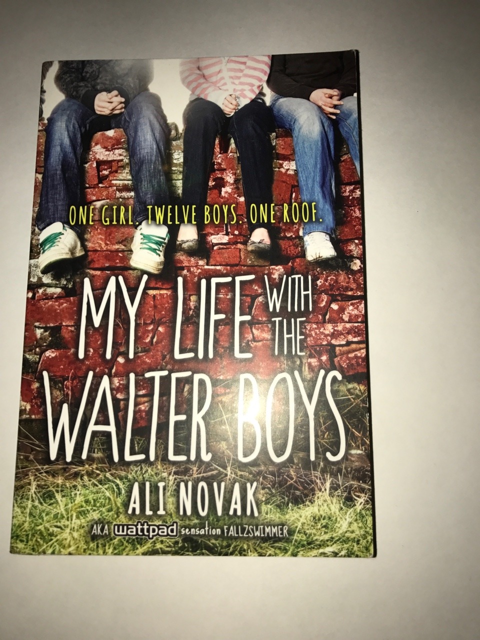 Books And Stuff — My Life With The Walter Boys 354 pages