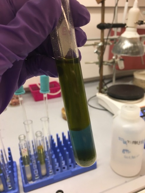 ladychemistab:Weird green/blue reaction work up...