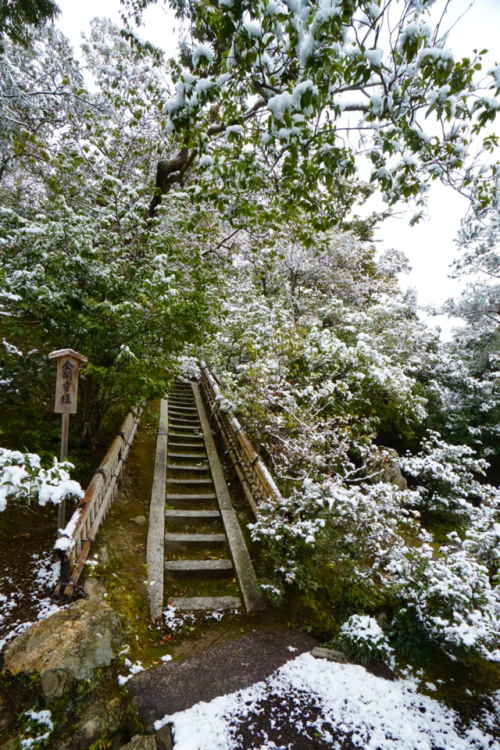 chitaka45:京都 金閣寺 ❄️雪景色❄️2018.1.14kyoto kinkakuji 14.1.2018