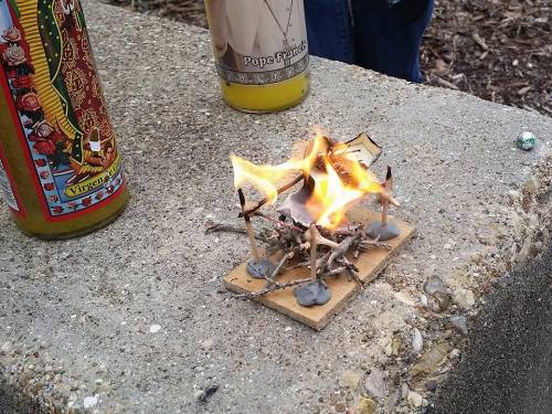 theinturnetexplorer:At Texas A&M there was a dead...