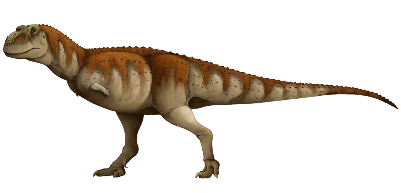 Ceratosaur – A Dinosaur A Day