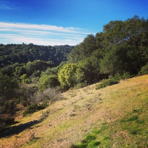 The views #oakland #redwood #stroll #lakechabot #nature #iphonex...