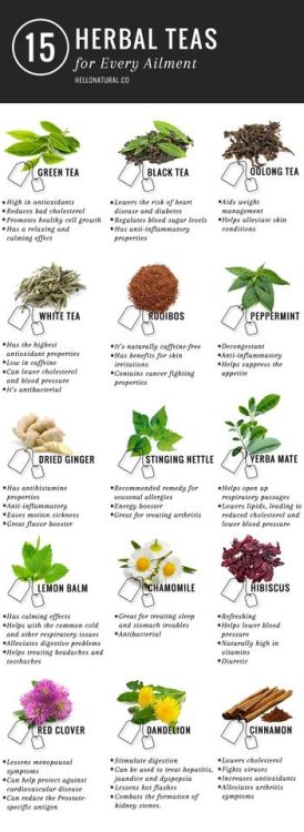 ahealthblog:Research has proven that tea supports heart health...